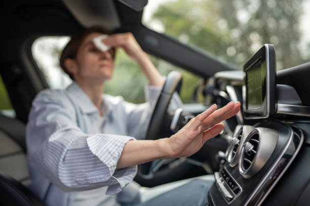 Best Air Conditioning Cleaning in Romeo, MI
